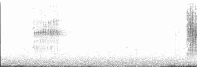 Band-tailed Earthcreeper - ML136947481