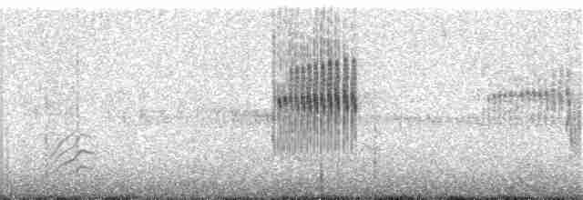 Band-tailed Earthcreeper - ML136947501