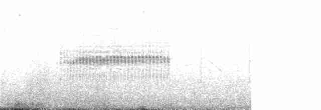 Band-tailed Earthcreeper - ML136949041