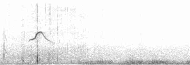 Lesser Shrike-Tyrant - ML136949121