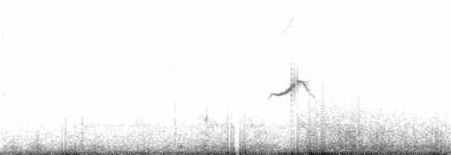 Lesser Shrike-Tyrant - ML136949141
