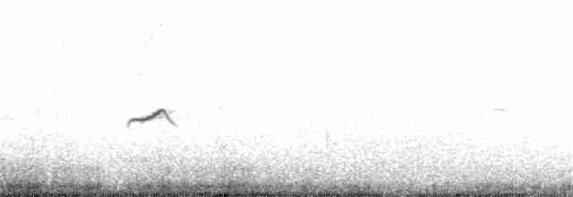 Малый гаучо - ML136949161