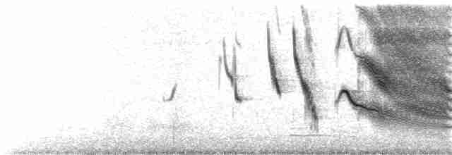 Long-tailed Meadowlark - ML136949301