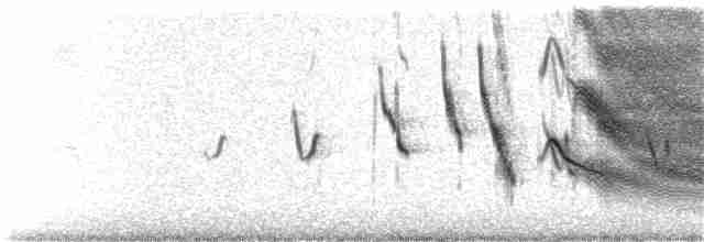 Long-tailed Meadowlark - ML136949311