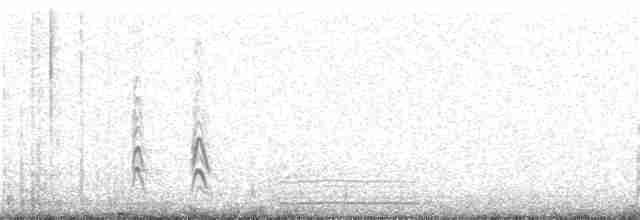 Long-tailed Meadowlark - ML136949331