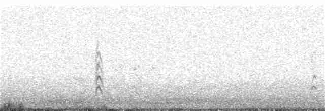 Long-tailed Meadowlark - ML136949361
