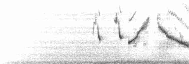 Long-tailed Meadowlark - ML136949371