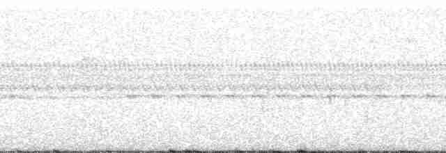 Cabézon élégant (versicolor) - ML13696