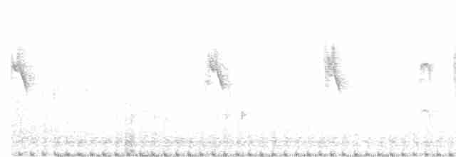 Gray-breasted Prinia - ML136973981