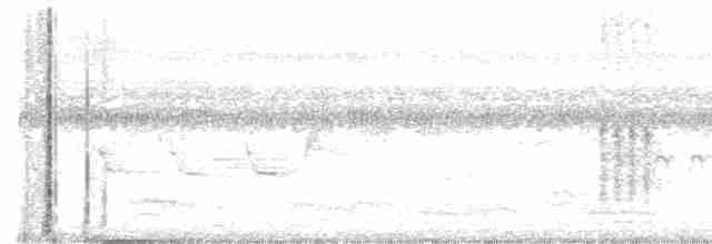 Clamorous Reed Warbler - ML137077861