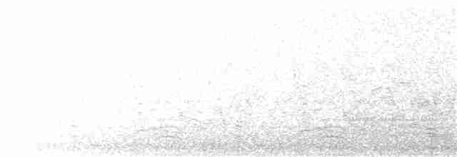 Чёрно-белая веерохвостка - ML137087061