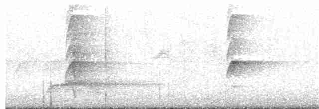 Kestane Kulaklı Arapbülbülü - ML137162951