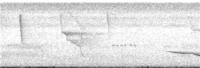 Чернозобый крапивник - ML137300941