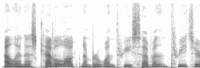 Пухівка горбатодзьоба - ML137308
