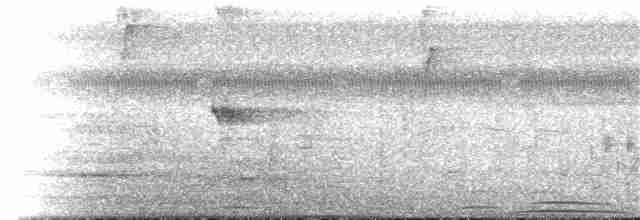 holub šedohlavý - ML137316201