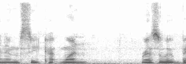 Arctic Tern - ML137336
