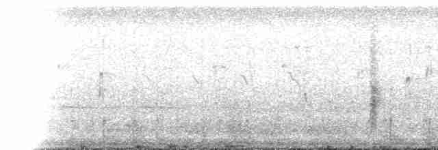 Oriole des vergers (fuertesi) - ML137360