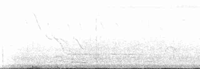 Paruline à calotte grise - ML137363