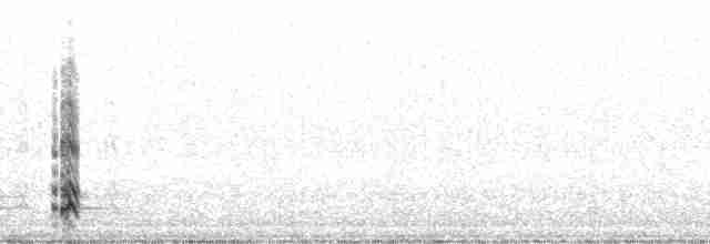 Uzun Kuyruklu Korsanmartı - ML137366