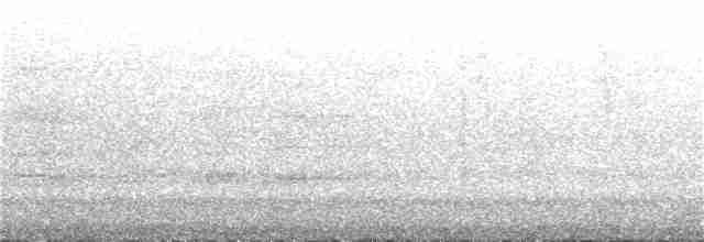 Пестрохвостая эферуса - ML137381741