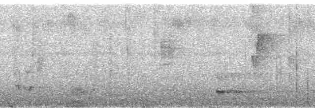 Fleckenbrust-Ameisenvogel - ML137388