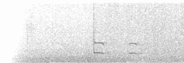 Сероголовый аттила - ML137395