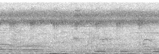 Kara Karınlı Sığırcık - ML137404