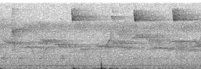 Пембская нектарница - ML137410