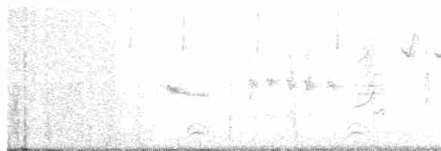Lesser Goldfinch - ML137416021