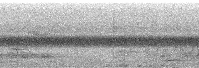 Graubrust-Schlangenadler - ML137437