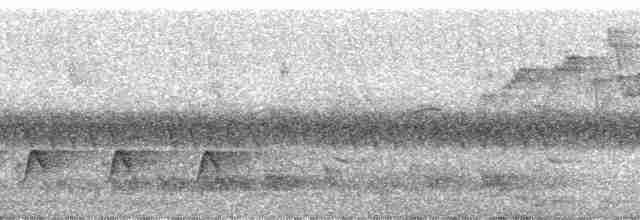 Uzun Gagalı Afrika Terzikuşu - ML137443