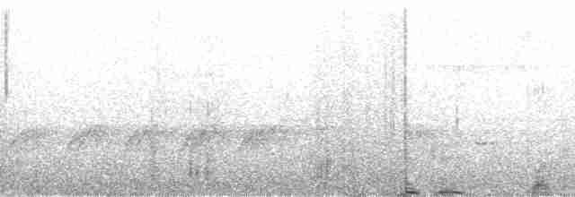 svarthodeapalis - ML137449