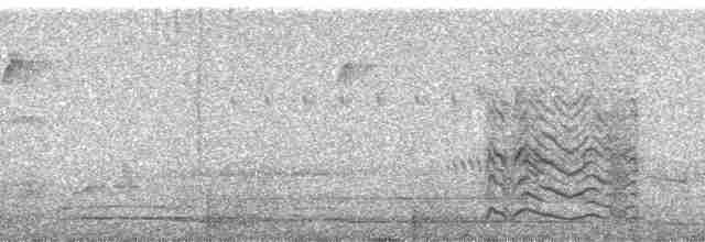 Doğulu Yaprakbülbülü (nigriceps/usambarae) - ML137491
