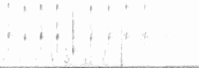 Effraie des clochers (groupe tuidara) - ML137514