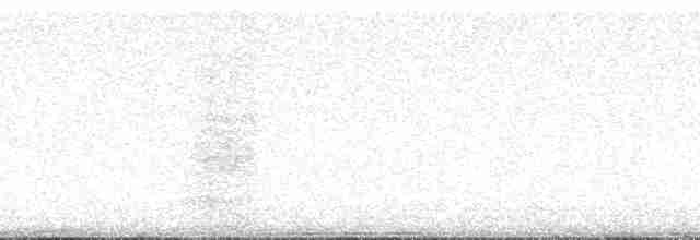 Ушастая сова (wilsonianus/tuftsi) - ML137515