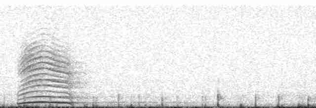 Kulaklı Orman Baykuşu (wilsonianus/tuftsi) - ML137517
