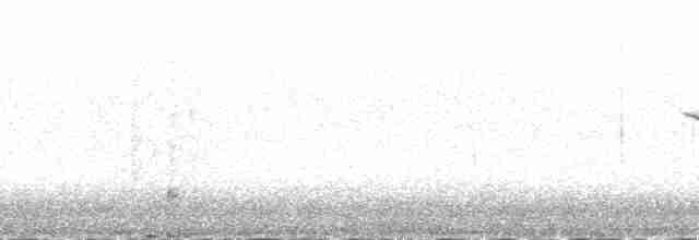 Bécasseau des Aléoutiennes - ML137527