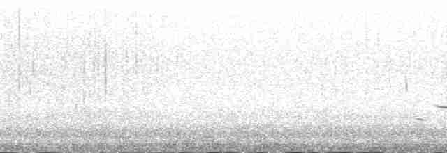 Таитянский кроншнеп - ML137534