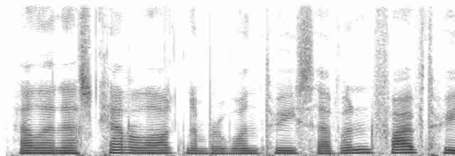 Крячок камчатський - ML137535