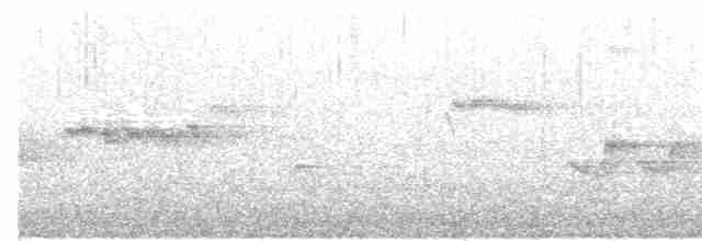 American Dipper - ML137566961