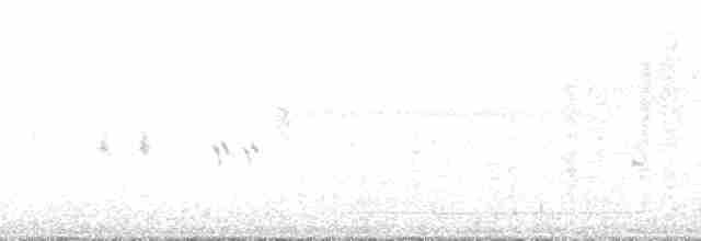 Whimbrel (Hudsonian) - ML137583