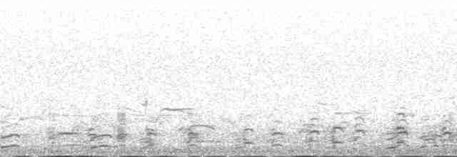Whimbrel (Hudsonian) - ML137586