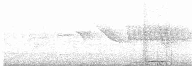 Picui Ground Dove - ML137595231