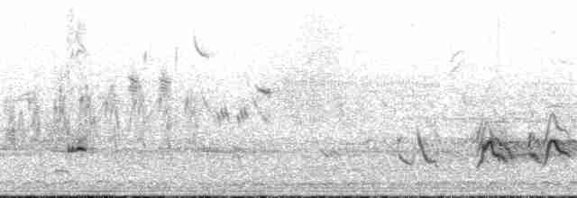 Green-winged Teal (American) - ML137598