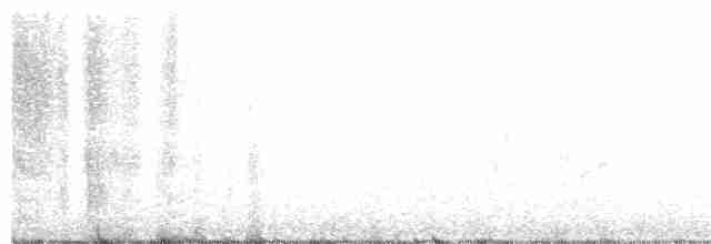 White-eyed Vireo - ML137612601