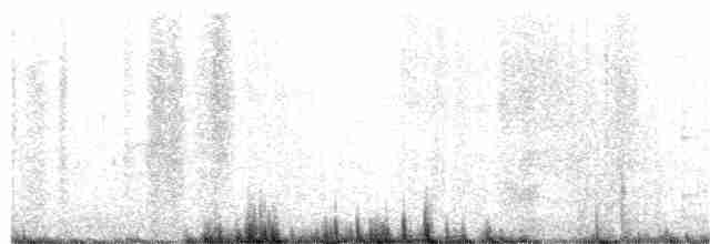 White-eyed Vireo - ML137612611