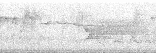 サメズアカアメリカムシクイ（lutescens） - ML137613