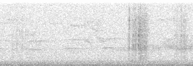 Paruline verdâtre (lutescens) - ML137615