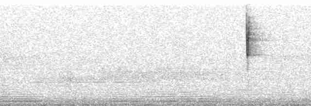 Paruline verdâtre (lutescens) - ML137618
