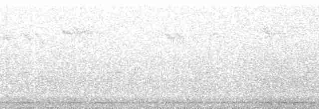 Turuncu Taçlı Ötleğen (lutescens) - ML137620